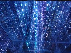 -深圳独角兽星空艺术馆