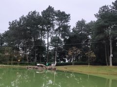 -铁山坪森林公园