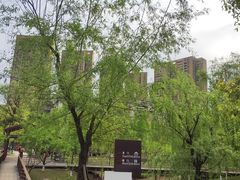 -沐仙湖湿地公园