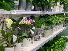 -盒马X会员店(上海森兰商都店)