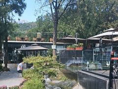 -蘇河湾·新鲁菜·泰山宴(泰山店)