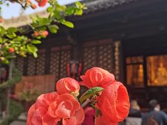 -成都市文殊院