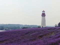 -紫颐香薰山谷景区