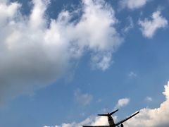 -空港花田景区
