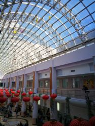 -上海交通大学医学院附属上海儿童医学中心(陆家嘴总院区)