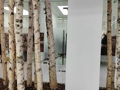 -极简口腔(总院)