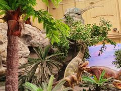 -国家自然博物馆