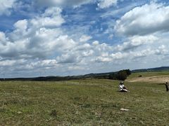 -御道口草原森林风景区