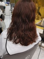 点击看大图 -潘多拉Hairsalon