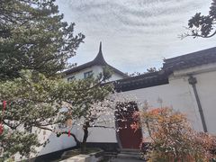 -东山雕花楼