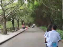 -大湾区中央湿地公园