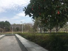 -白塘生态植物园