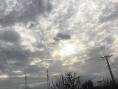 -菊园百果园