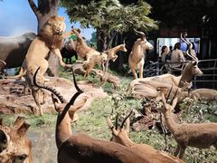 -国家自然博物馆