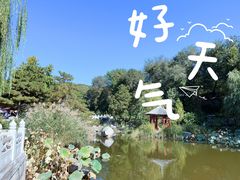 -八大处公园