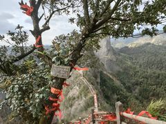 -崀山风景名胜区