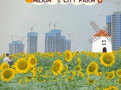 -光明小镇欢乐田园