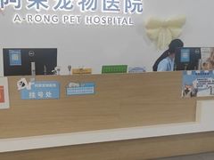 -阿荣24H宠物医院·综合型转诊中心·CT·核磁影像中心