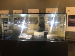 -张之洞与武汉博物馆