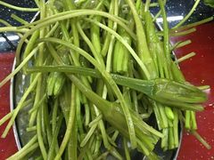 -老石黑山羊毛驴肉火锅(金凯广场店)