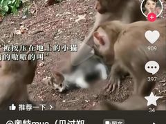 -昆明动物园