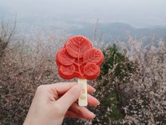-香山公园