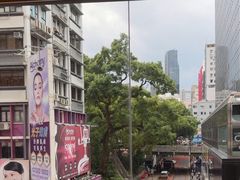 -香港港威酒店-马哥孛罗