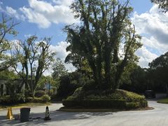 -上海崇明金茂凯悦酒店