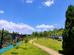-云岗森林公园