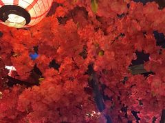 -探花·意境江南菜·唐伯虎文化体验店·松鼠桂鱼(观前店)