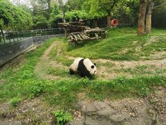 -宁波野生动物园