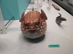 -天津自然博物馆