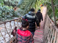-呀路古热带植物园