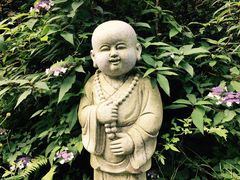 -武陵山森林公园