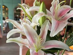 -南堂馆·新川菜(春熙路店)