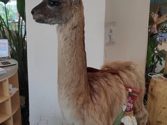 -中国天府农业博览园