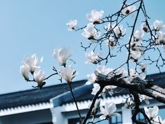 -苏州吴宫泛太平洋酒店