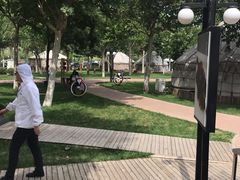 -九十九顶毡房(阜石路店)