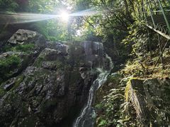 -藏龙百瀑风景区