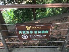 -洪崖丹井