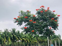 -万绿园