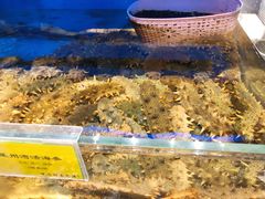 -新海渔港·胶东海鲜家常菜·家宴(奥体中心店)
