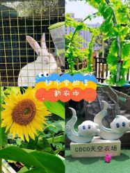 -可可天空农场(中大店)