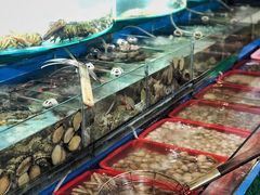 -望海潮海鲜店 特色家常菜(在海一方店)