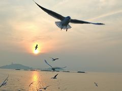 -SFC上影百联影城(虹口店)