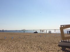 -碧海金沙