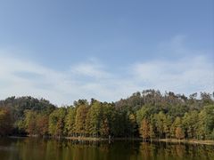 -青龙山国家森林公园