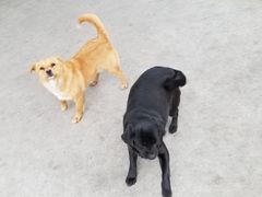 -孙家羊肉馆(庄良公路店)