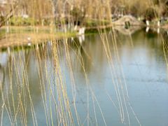 -圩墩遗址公园