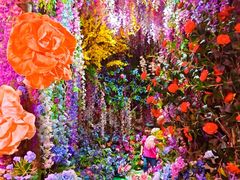 -正佳雨林生态植物园